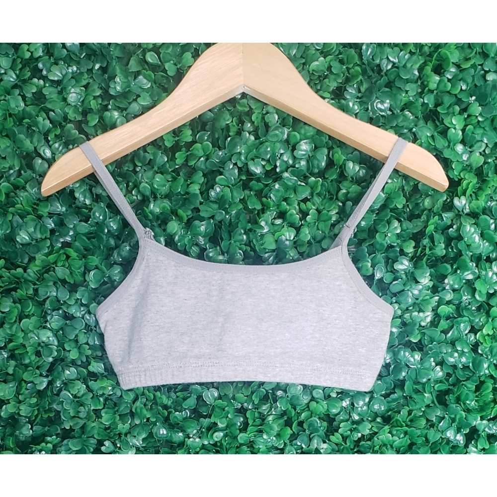 79. 2/$15 Gap Girls bralettes